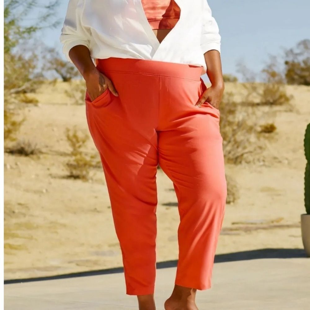 NWOT Athleta  Brooklyn Angle pants size 22 - Picture 3 of 16